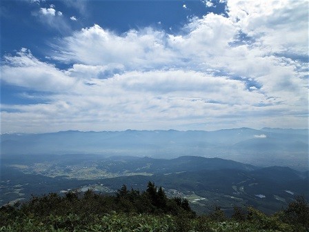 IMG_0264