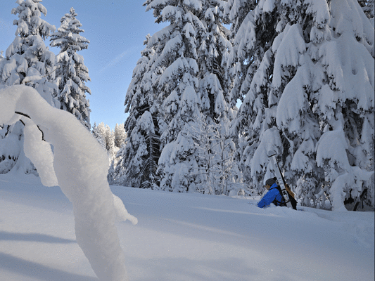 diablerets