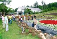 夏季営業が始まった御岳ロープウェイ。色とりどりの花を植えた花壇が客を出迎えた