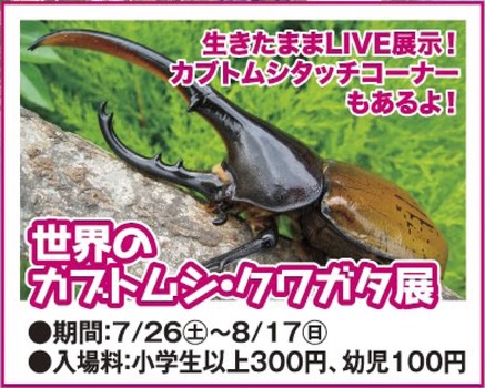 世界のカブトムシ・クワガタ展