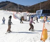 スノーボーダーらが訪れているあららぎ高原スキー場=阿智村浪合