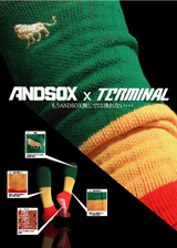 ANDSOXから待望のWネームソックスが登場!