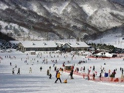 リフト利用料を無料にする秋田市の「太平山スキー場・オーパス」