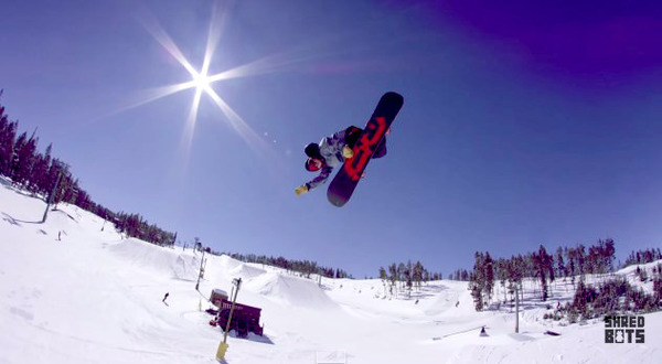 shredbots3