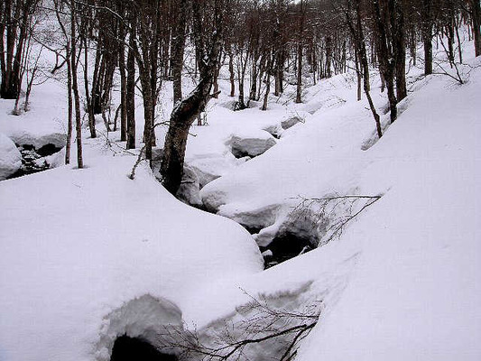 田茂萢沢