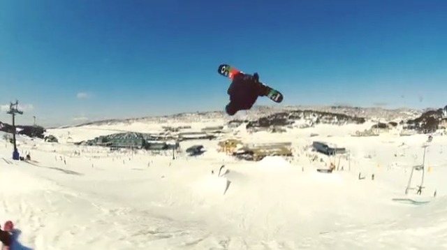 max parrot
