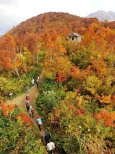 大勢の観光客らが訪れた八海山