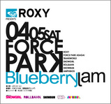 Blueberry Jam 2008