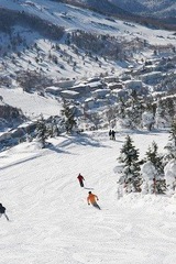 スキー場で事故にあわないために