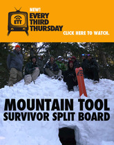 Survivor Split