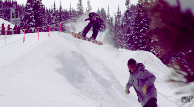 shredbots1