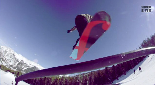 shred5