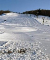 圧雪車による整備が始まったが積雪は少なく、部分的に草がのぞく忠類白銀台スキー場のゲレンデ=27日