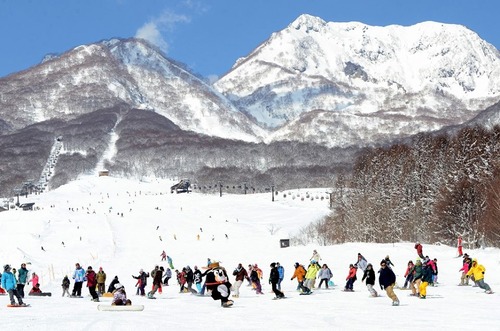 池の平温泉スキー場