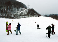 iwate