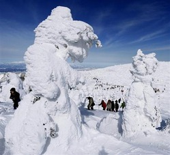「アイスモンスター」と呼ばれる山形の冬の風物詩「樹氷」=2010年2月8日、山形市の蔵王温泉スキー場
