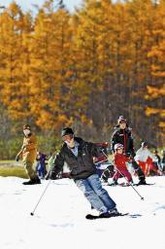 来場者が大幅に増加したスノークルーズオーンズ。道内トップを切ってオープンして以来、多くのファンを集めた=昨年11月