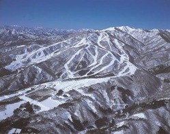 雪山にある数多くのスキー場