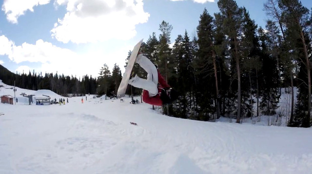helgason4