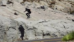 Go Freebord!