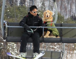 不安そうな表情を浮かべ、リフトに乗る永井祐二さんの愛犬「ごはん」=長野県白馬村の白馬さのさかスキー場で、大島英吾撮影