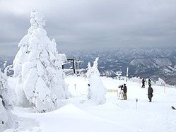 リフト駅頂上付近から樹氷を望む(平成22年1月撮影)wikipedia