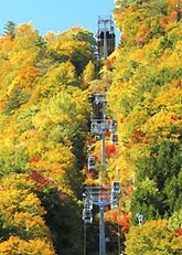 紅葉が見頃を迎えた「富士見台高原ロープウェイ」の山頂駅周辺=阿智村智里