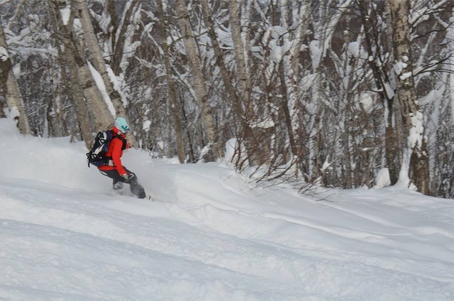 niseko