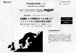 FORESTER LIVE