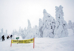 訪れる人たちの目を楽しませる森吉山の樹氷群