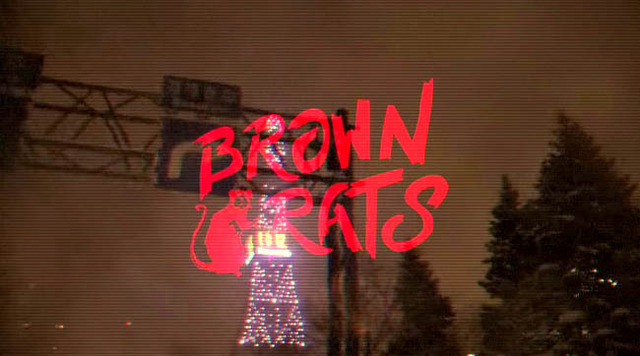 BROWNRATS3