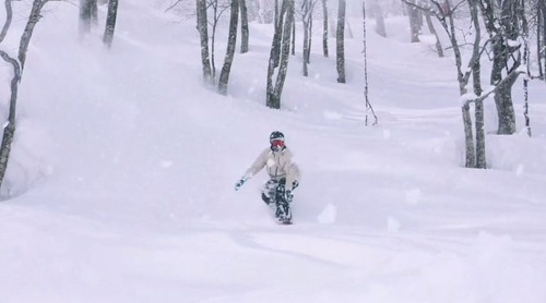 arbor-1