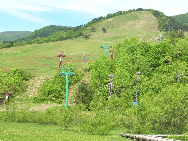 0520-009