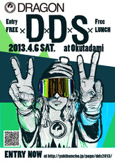DDS2013