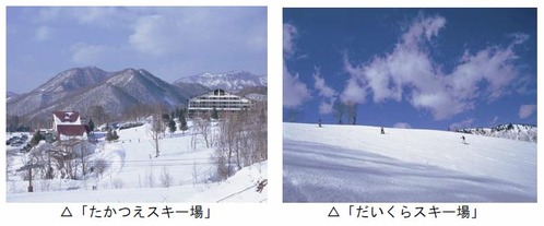 参考画像