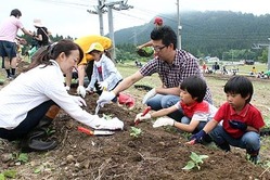 ヒマワリの苗植えを楽しむ家族連れ