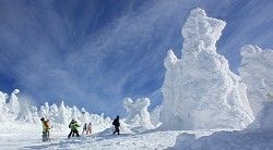 真っ青な空のもと、巨大な樹氷の脇をすり抜けるスキーヤーら=山形市蔵王温泉の蔵王温泉スキー場で
