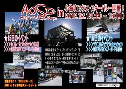 Alpine On Snow Demo in KOUMI-REEX