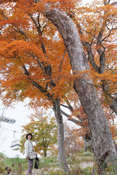 J20101018028a9