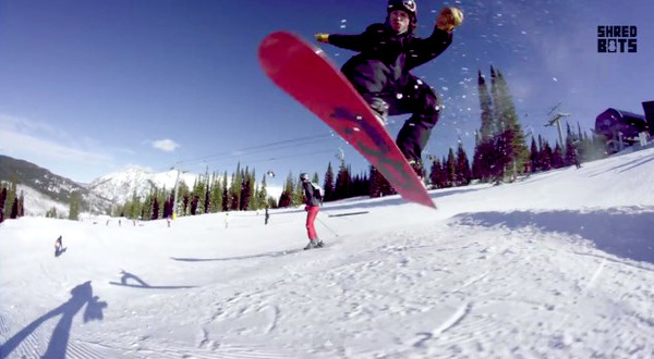 shred1