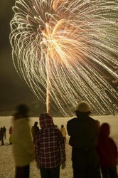 夜空一面を彩った新春の花火=ハチ高原スキー場