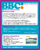 Blueberry Camp