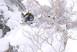 高野康史