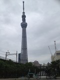 IMG_0281