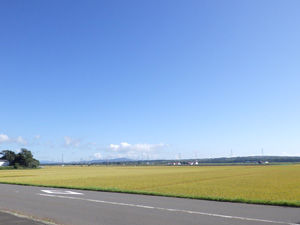 20171007 (37)