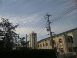 d0e07059.jpg