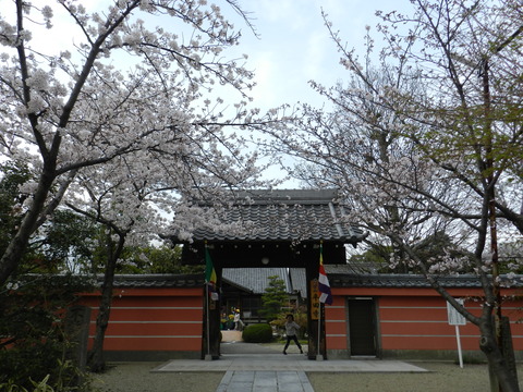 DSCN9967