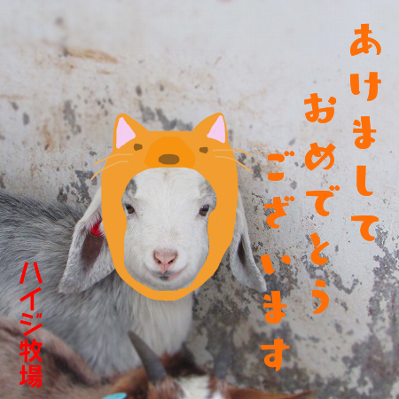 いぬ