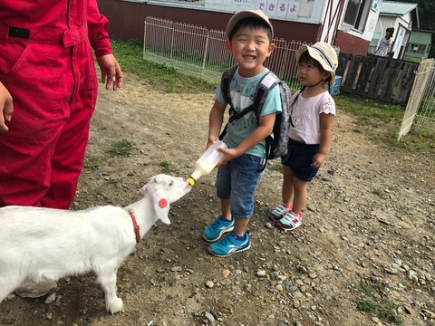 1)あやか