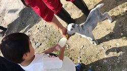 29)こうママ